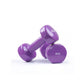 Vinyl Dumbbells Set for Yoga - Pair of Weights (4kg)
