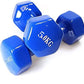 Vinyl Dumbbells Set for Yoga - Pair of Weights (5kg)