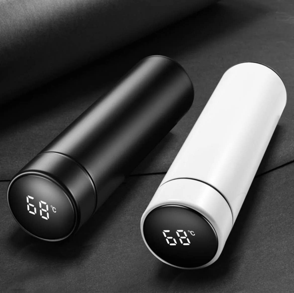 LED Temperature Display Water Bottle